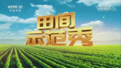 CCTV17中央电视台农业农村频道田间示范秀广告代理